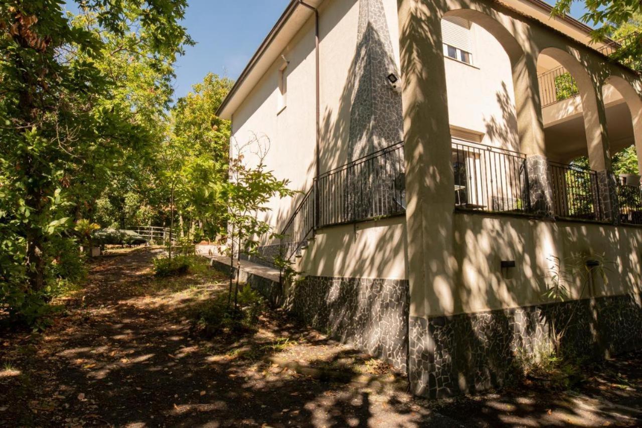 Ln Etna House-Villa Ad Uso Esclusivo ペダーラ エクステリア 写真
